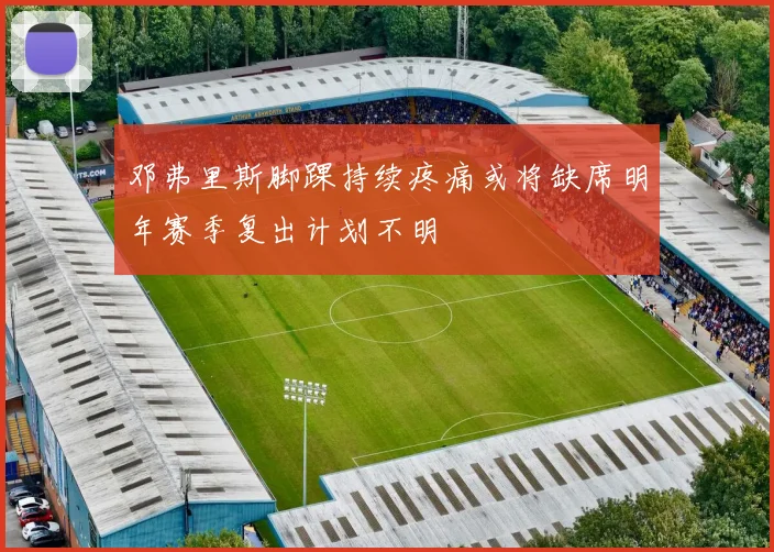 邓弗里斯脚踝持续疼痛或将缺席明年赛季复出计划不明